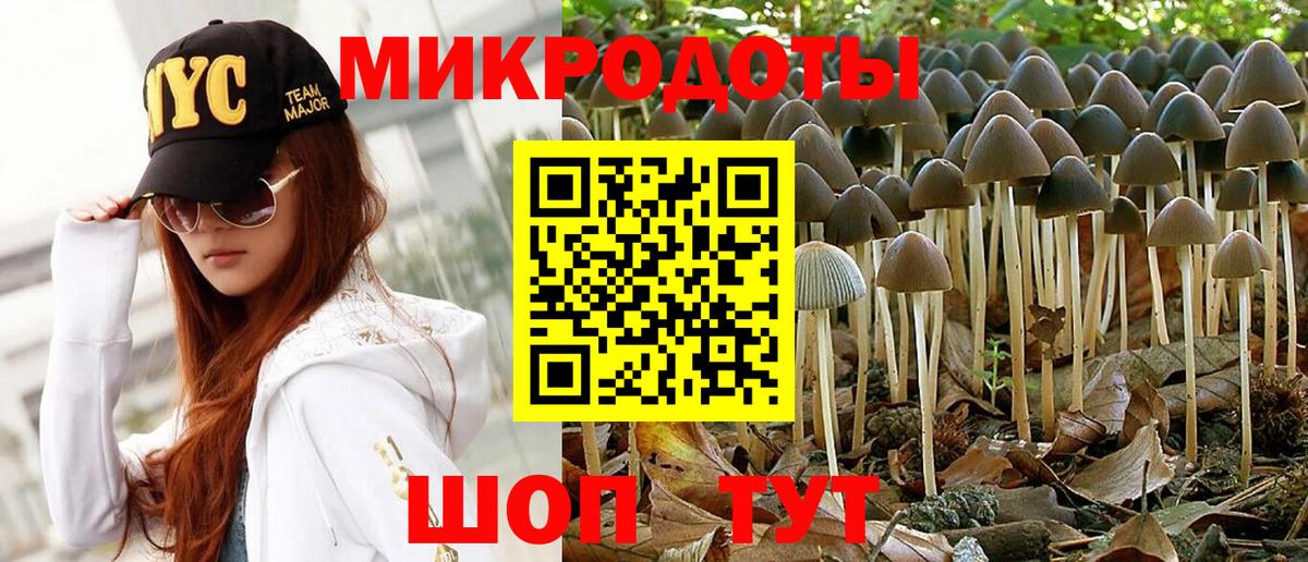 Мичуринск  Галлюциногенные грибы Psilocybe  Галлюциногенные грибы GOLDEN TEACHER  Вход с VPN 