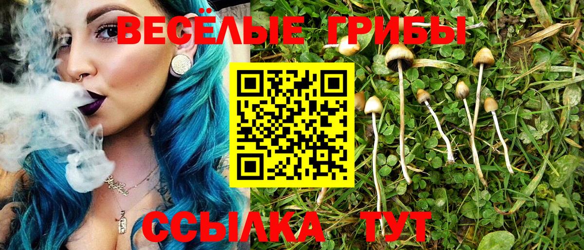Псилоцибиновые грибы мухоморы Мичуринск